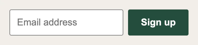 Newsletter form with only gray hint text inside the email box.